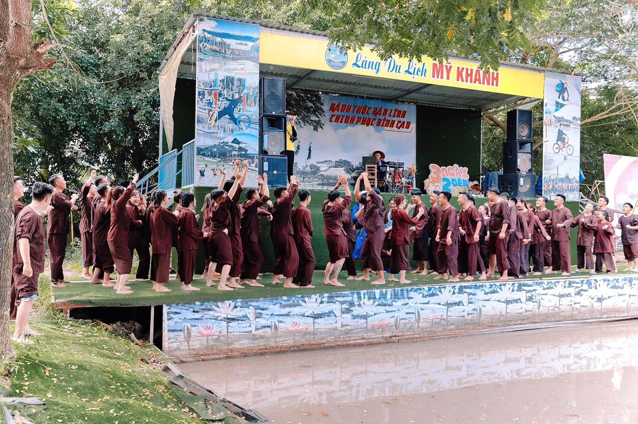 lĩnh vực hoạt động